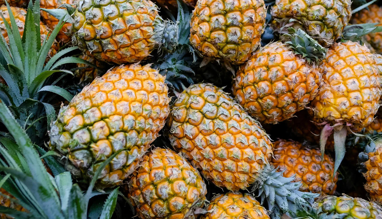 Bromelina: l’enzima dell’ananas che lavora dove non ti aspetti