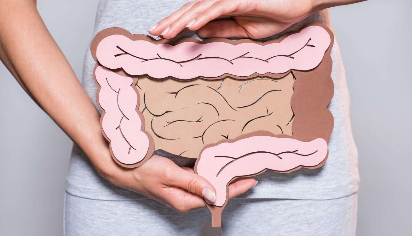 Microbiota intestinale: cos'è l'eubiosi, perché si altera e come supportarla